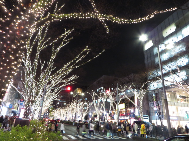 f:id:sasameyuki47:20131220173035j:image:w640