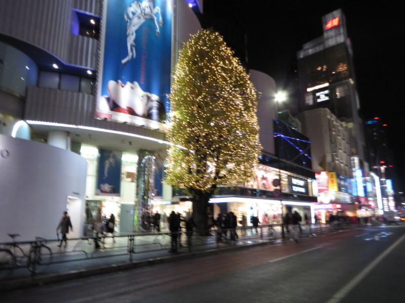 f:id:sasameyuki47:20131220173451j:image:w360