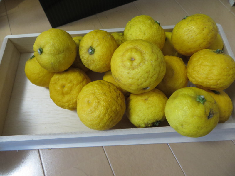 f:id:sasameyuki47:20131222151710j:image:w360 f:id:sasameyuki47:20131222151710j:image:w360