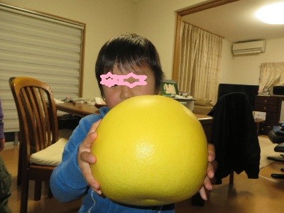 f:id:sasameyuki47:20131226165344j:image:w360