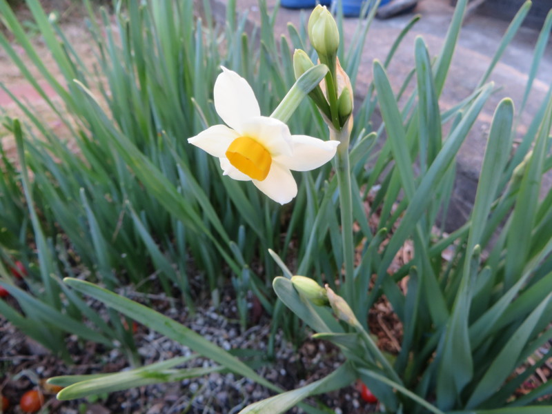f:id:sasameyuki47:20131230090315j:image:w360 f:id:sasameyuki47:20131230090315j:image:w360