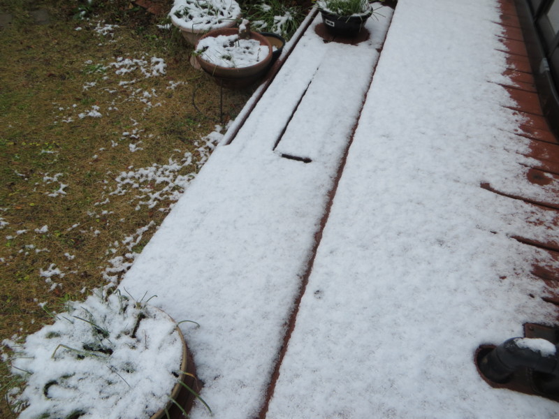 f:id:sasameyuki47:20140110073857j:image:w360 f:id:sasameyuki47:20140110073857j:image:w360