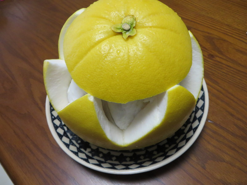 f:id:sasameyuki47:20140204105421j:image:w360