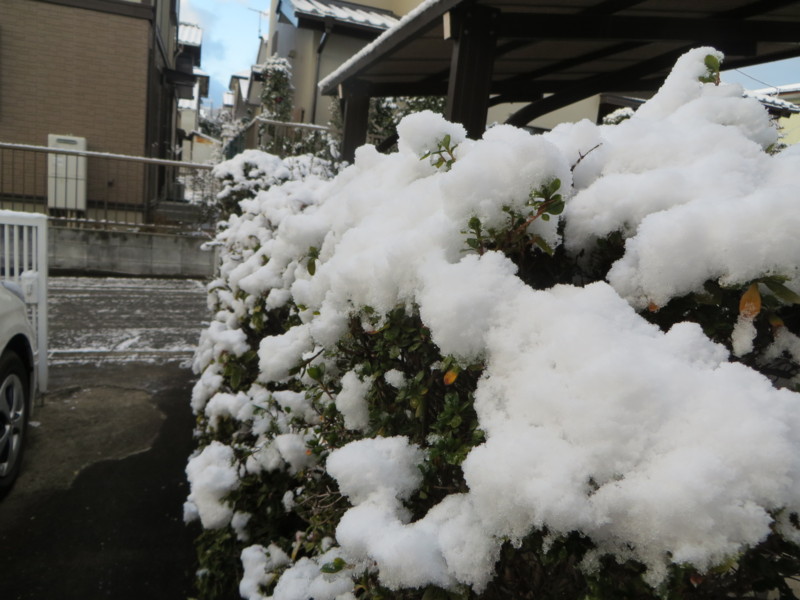 f:id:sasameyuki47:20140205071105j:image:w360 f:id:sasameyuki47:20140205071105j:image:w360
