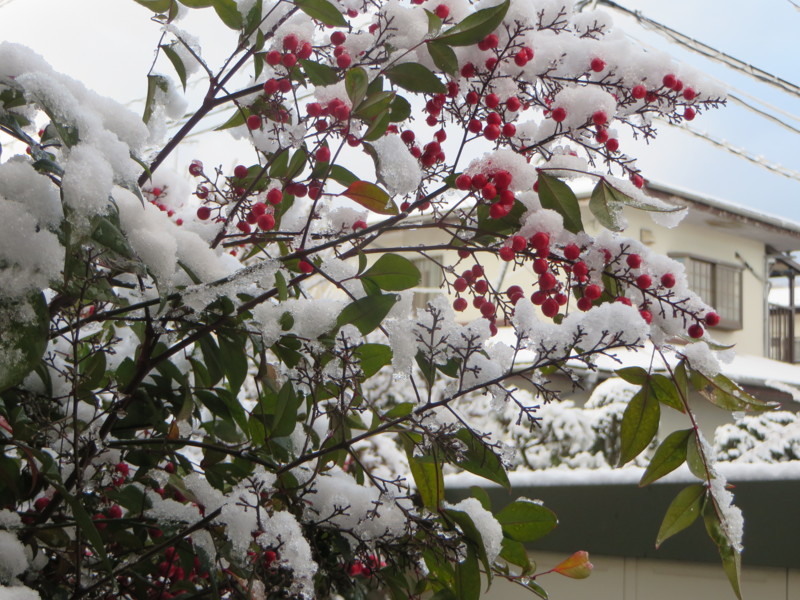 f:id:sasameyuki47:20140205071653j:image:w360 f:id:sasameyuki47:20140205071653j:image:w360