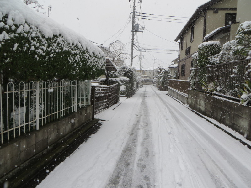 f:id:sasameyuki47:20140208102933j:image:w360 f:id:sasameyuki47:20140208102933j:image:w360
