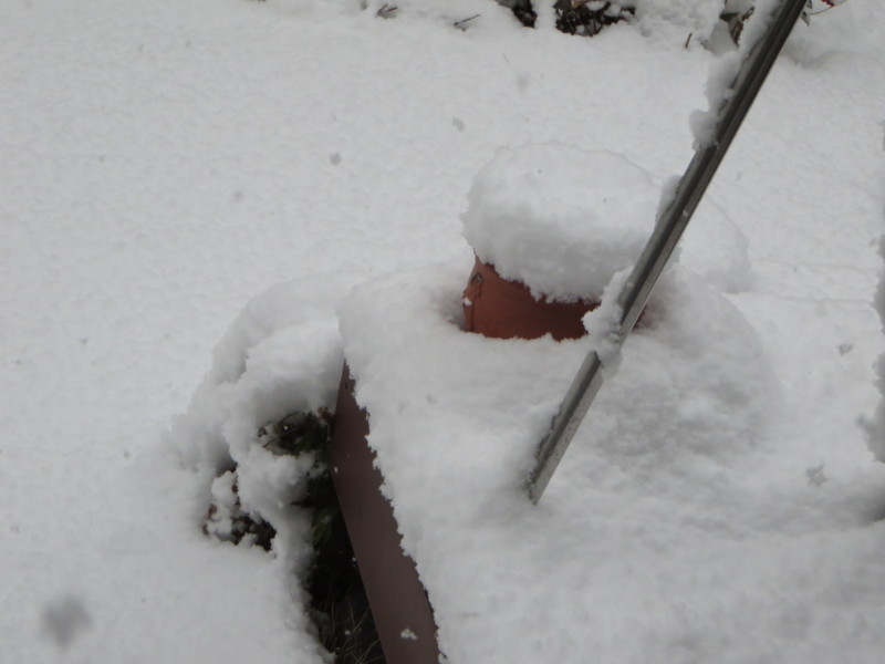 f:id:sasameyuki47:20140208105231j:image:w360 f:id:sasameyuki47:20140208105231j:image:w360