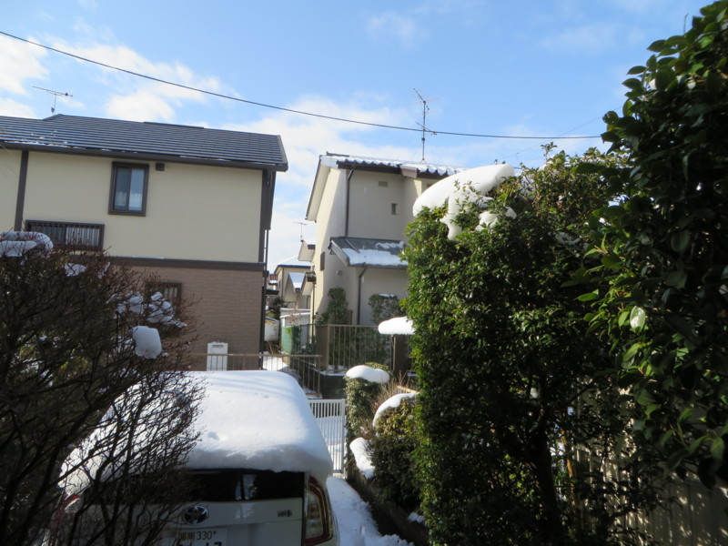 f:id:sasameyuki47:20140209085852j:image:w360 f:id:sasameyuki47:20140209085852j:image:w360