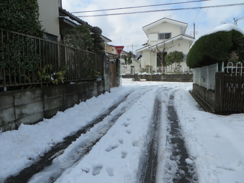 f:id:sasameyuki47:20140209124205j:image:w360 f:id:sasameyuki47:20140209124205j:image:w360
