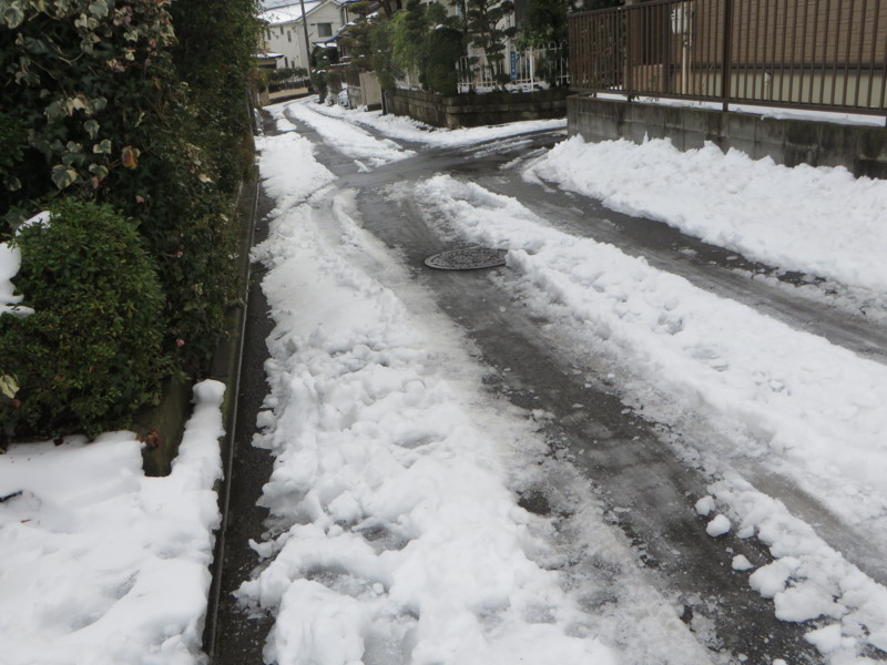 f:id:sasameyuki47:20140210090520j:image:w360 f:id:sasameyuki47:20140210090520j:image:w360