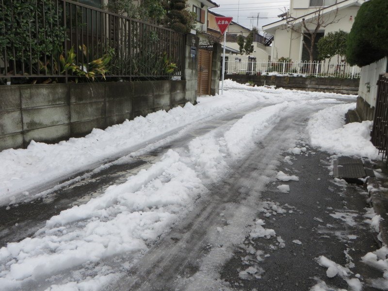 f:id:sasameyuki47:20140210090529j:image:w360 f:id:sasameyuki47:20140210090529j:image:w360