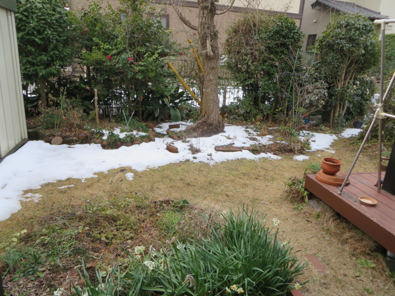 f:id:sasameyuki47:20140218071548j:image:w360 f:id:sasameyuki47:20140218071548j:image:w360