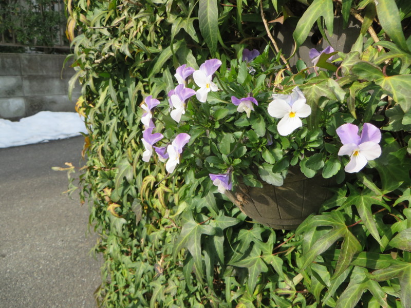 20140220084514