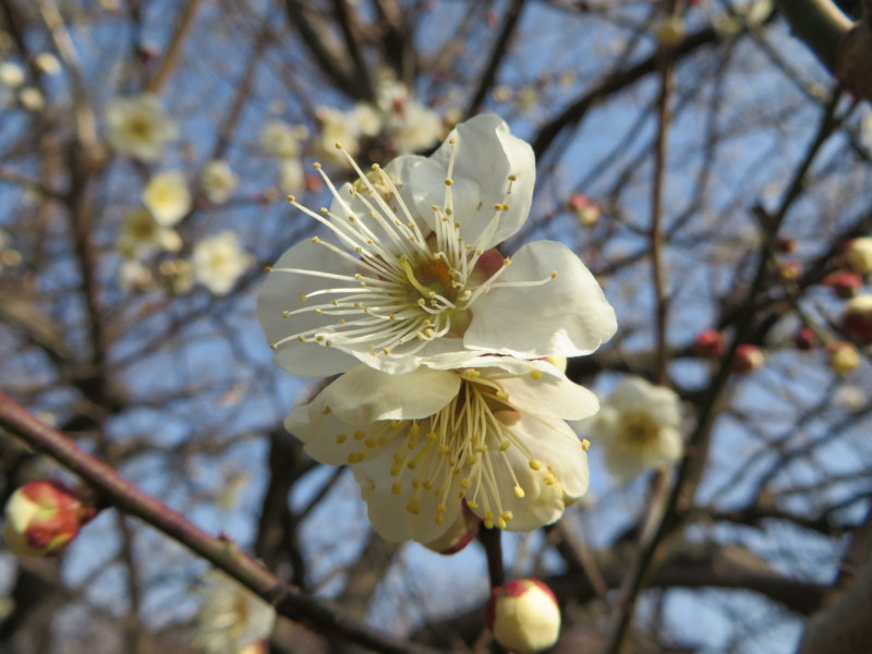 20140226144032
