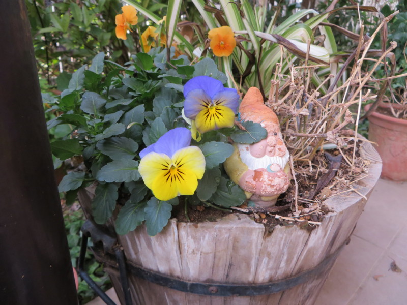 f:id:sasameyuki47:20140228145823j:image:w360 f:id:sasameyuki47:20140228145823j:image:w360