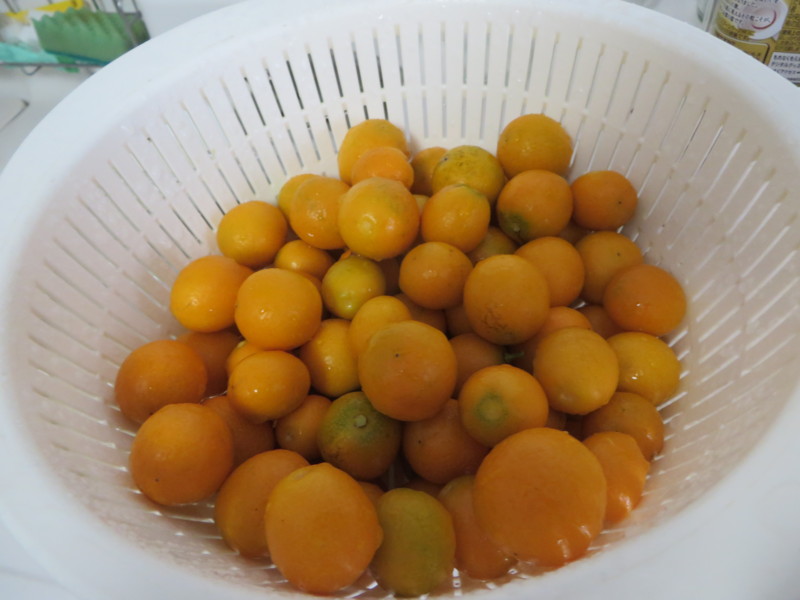 f:id:sasameyuki47:20140304085920j:image:w360 f:id:sasameyuki47:20140304085920j:image:w360