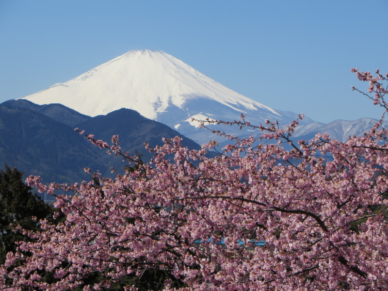 f:id:sasameyuki47:20140311113814j:image:w640 f:id:sasameyuki47:20140311113814j:image:w640