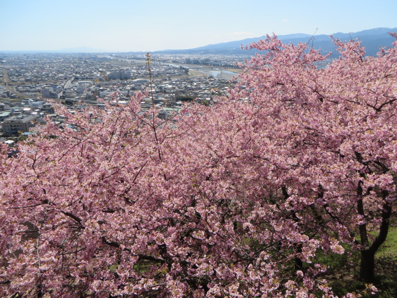 f:id:sasameyuki47:20140311114816j:image:w640 f:id:sasameyuki47:20140311114816j:image:w640