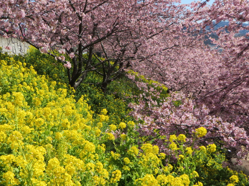f:id:sasameyuki47:20140311114841j:image:w640 f:id:sasameyuki47:20140311114841j:image:w640