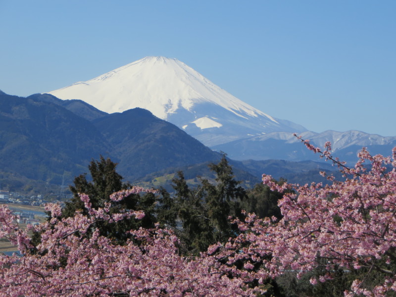 f:id:sasameyuki47:20140311120246j:image:w640 f:id:sasameyuki47:20140311120246j:image:w640