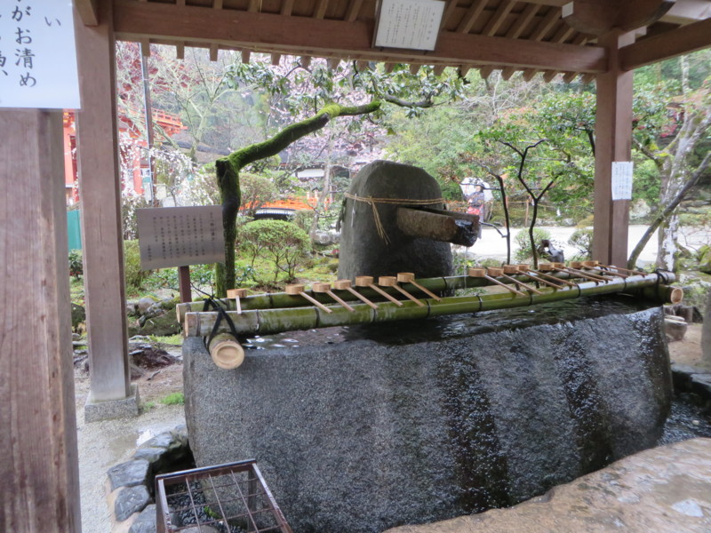 f:id:sasameyuki47:20140326143148j:image:w360 f:id:sasameyuki47:20140326143148j:image:w360