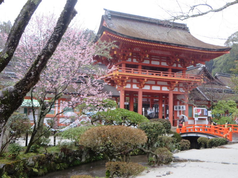 f:id:sasameyuki47:20140326143255j:image:w640 f:id:sasameyuki47:20140326143255j:image:w640