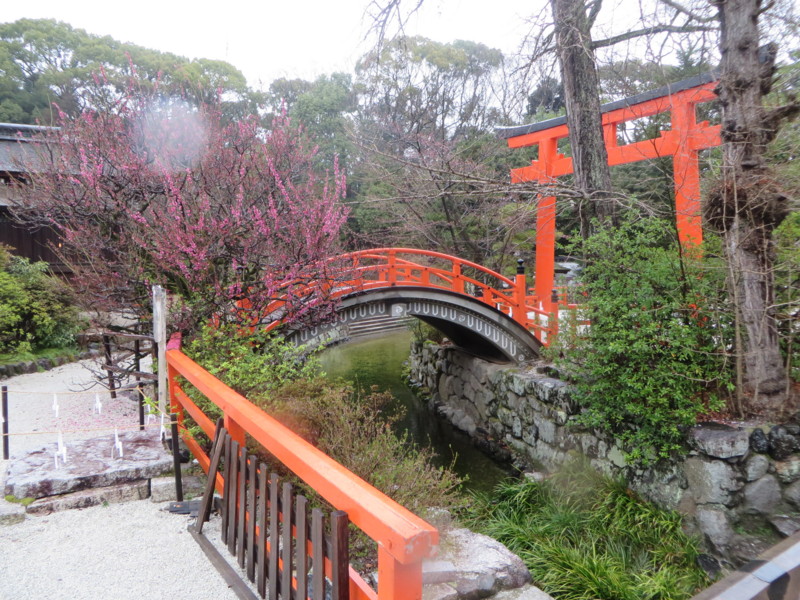 f:id:sasameyuki47:20140326160211j:image:w640 f:id:sasameyuki47:20140326160211j:image:w640