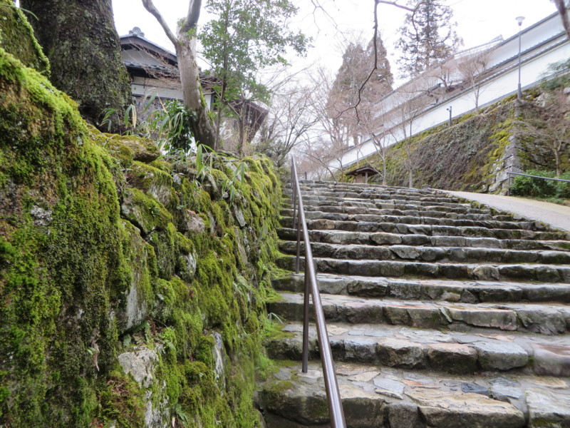 f:id:sasameyuki47:20140327093146j:image:w360 f:id:sasameyuki47:20140327093146j:image:w360