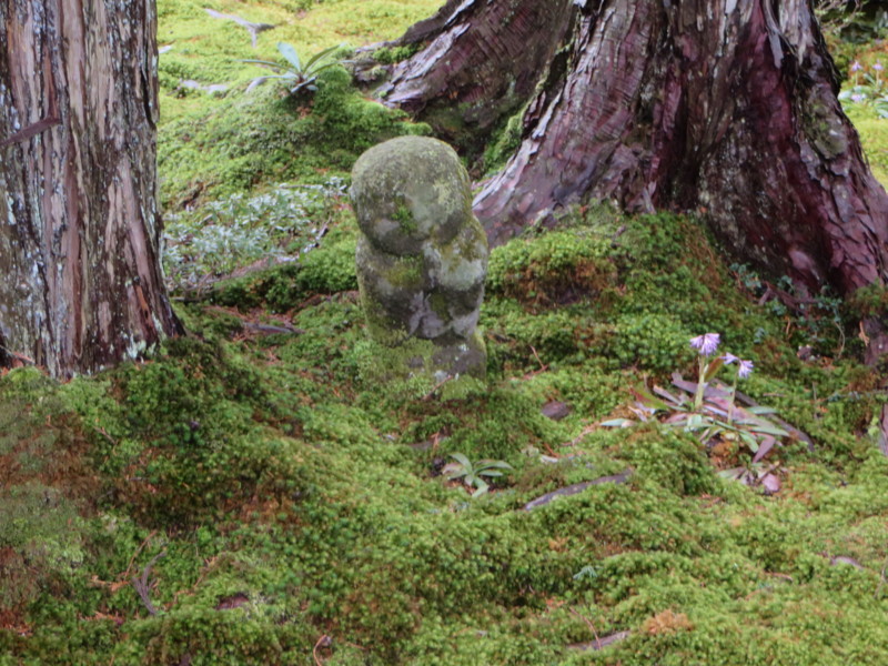 f:id:sasameyuki47:20140327103725j:image:w640 f:id:sasameyuki47:20140327103725j:image:w640