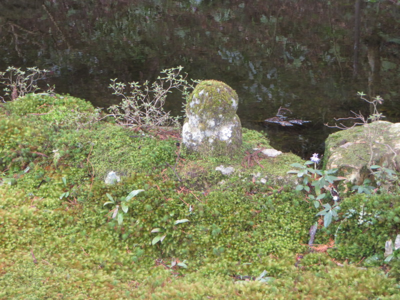 f:id:sasameyuki47:20140327103756j:image:w360 f:id:sasameyuki47:20140327103756j:image:w360