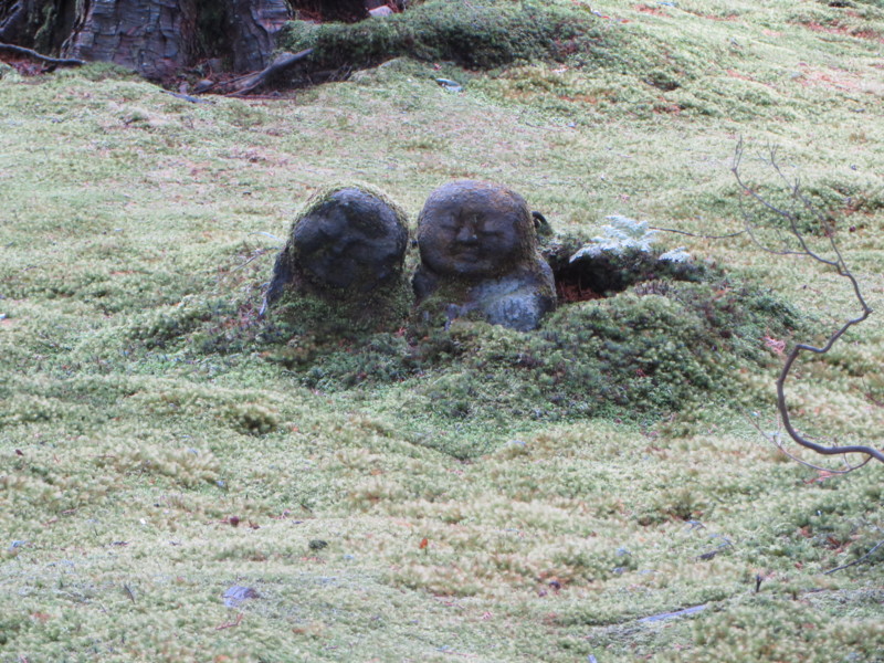 f:id:sasameyuki47:20140327103846j:image:w360 f:id:sasameyuki47:20140327103846j:image:w360