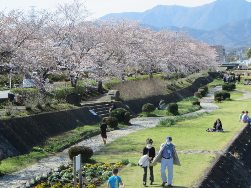 f:id:sasameyuki47:20140331142256j:image:w360 f:id:sasameyuki47:20140331142256j:image:w360
