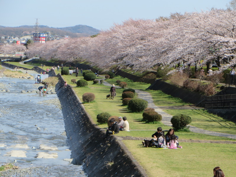 f:id:sasameyuki47:20140331142321j:image:w640 f:id:sasameyuki47:20140331142321j:image:w640