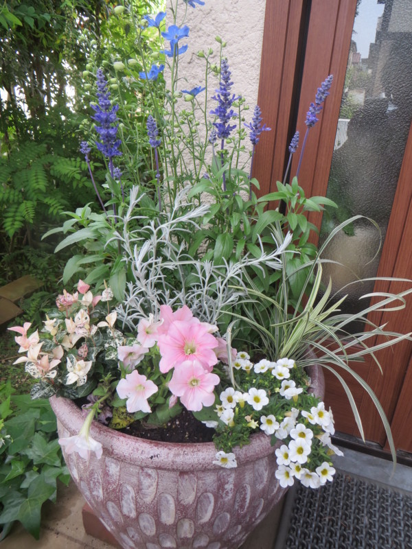 f:id:sasameyuki47:20140514083305j:image:w360
