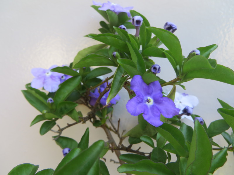 20140518095248