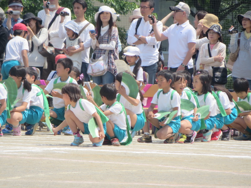 f:id:sasameyuki47:20140524130133j:image:w360