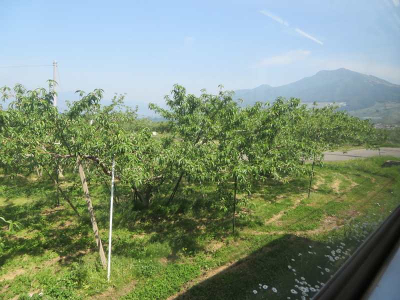 f:id:sasameyuki47:20140530090434j:image:w360 f:id:sasameyuki47:20140530090434j:image:w360