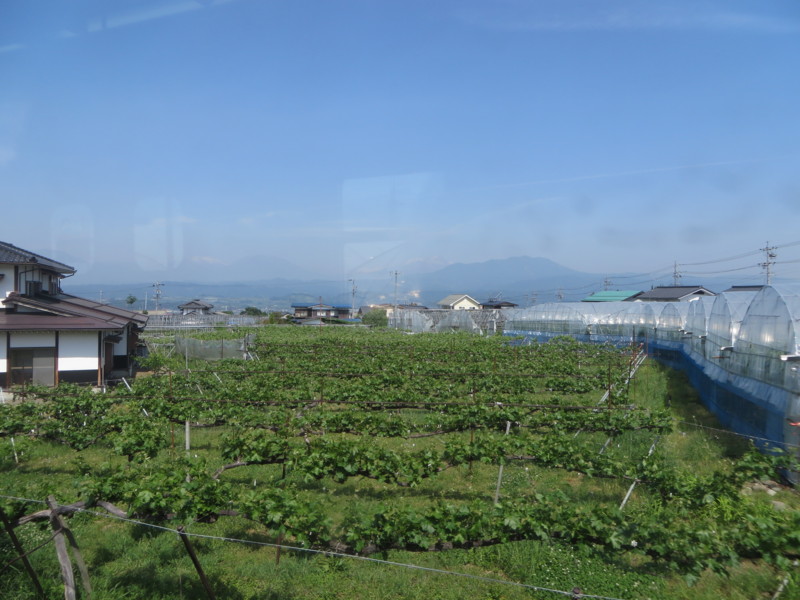 f:id:sasameyuki47:20140530091054j:image:w360 f:id:sasameyuki47:20140530091054j:image:w360