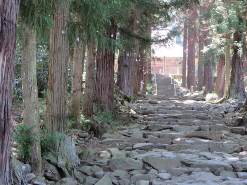 f:id:sasameyuki47:20140530101602j:image:w360 f:id:sasameyuki47:20140530101602j:image:w360