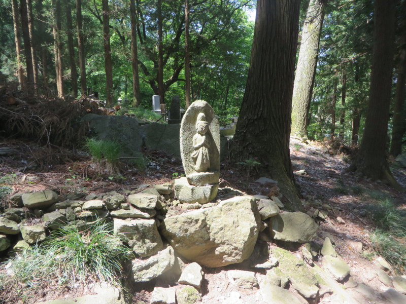 f:id:sasameyuki47:20140530102637j:image:w360 f:id:sasameyuki47:20140530102637j:image:w360