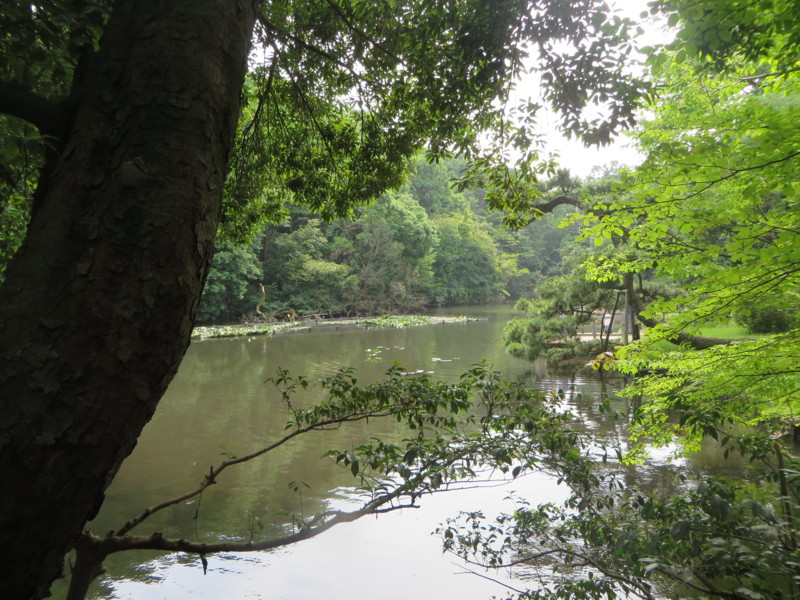 f:id:sasameyuki47:20140616143938j:image:w360 f:id:sasameyuki47:20140616143938j:image:w360