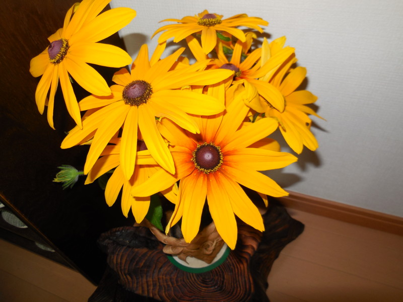 f:id:sasameyuki47:20140622094155j:image:w360