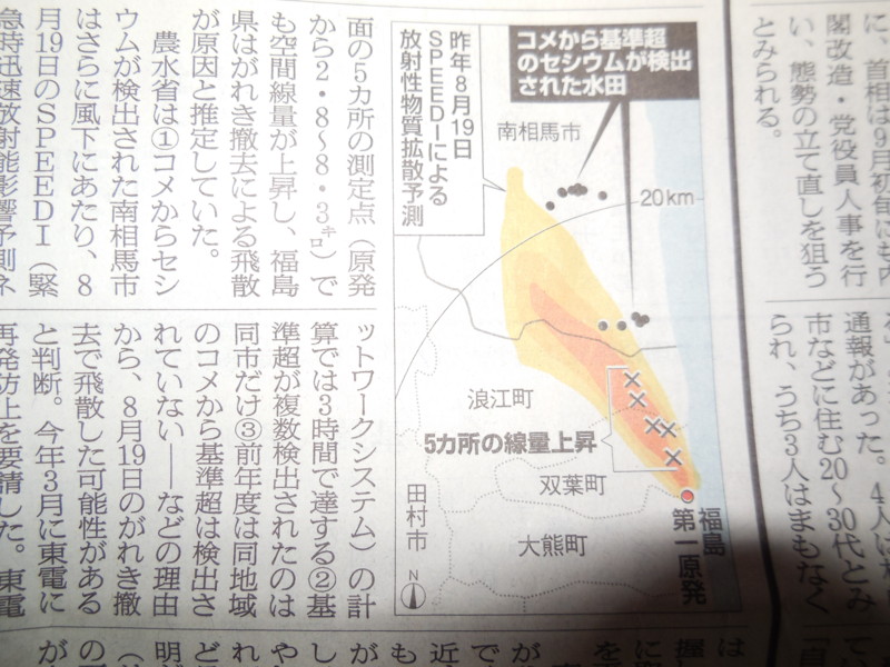 f:id:sasameyuki47:20140714113526j:image:w360:right