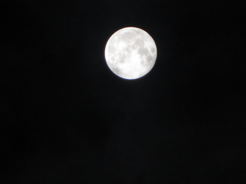 f:id:sasameyuki47:20140909230408j:image:w640