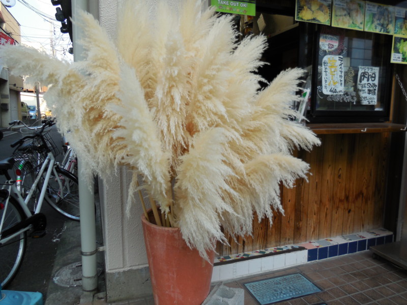 f:id:sasameyuki47:20140930162033j:image:w360 f:id:sasameyuki47:20140930162033j:image:w360