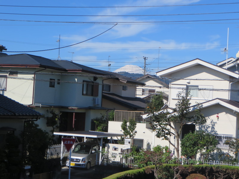 f:id:sasameyuki47:20141016084148j:image:w360 f:id:sasameyuki47:20141016084148j:image:w360