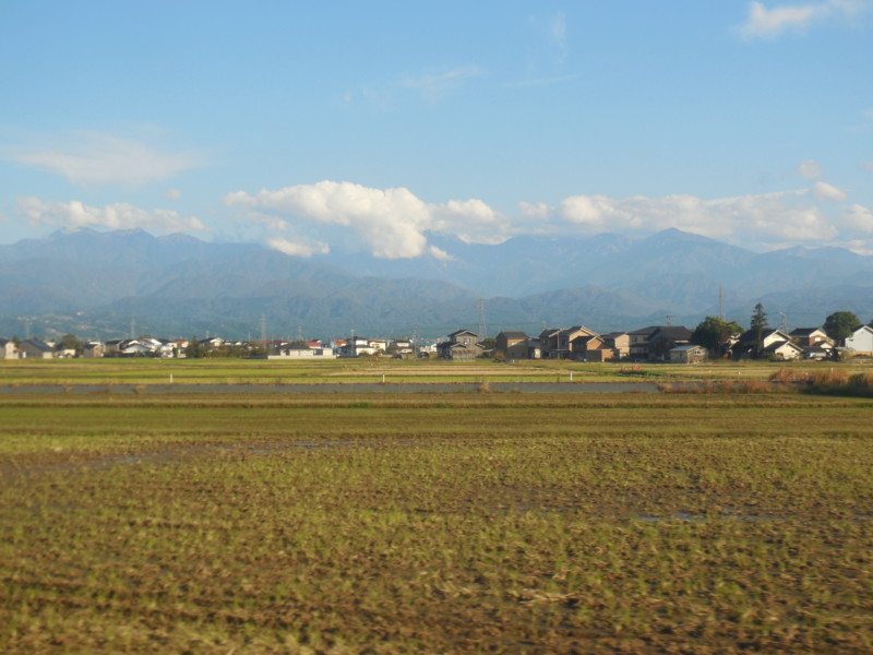 f:id:sasameyuki47:20141026153943j:image:w640