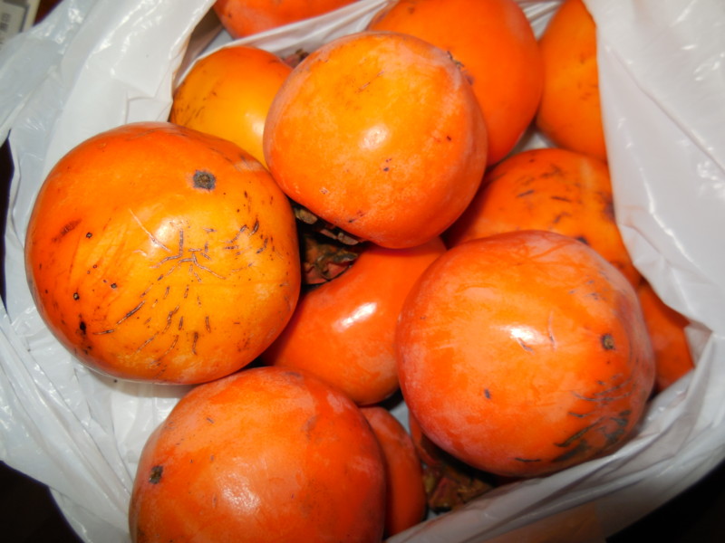 f:id:sasameyuki47:20141111164012j:image:w360 f:id:sasameyuki47:20141111164012j:image:w360