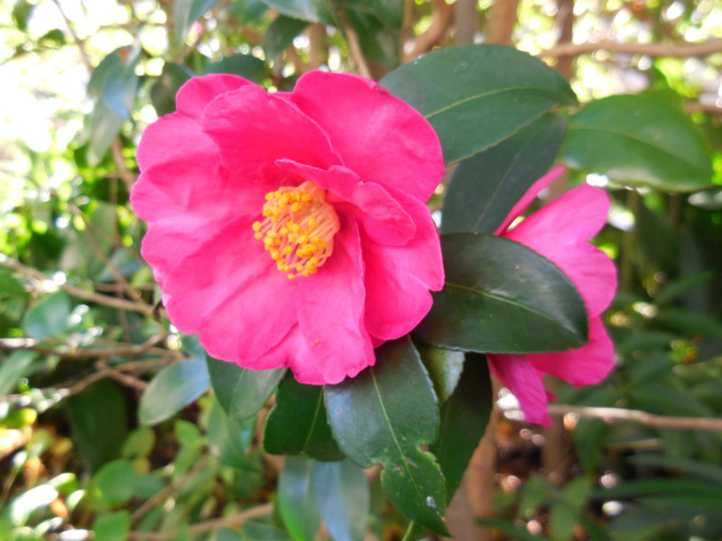 f:id:sasameyuki47:20141114100137j:image:w360 f:id:sasameyuki47:20141114100137j:image:w360