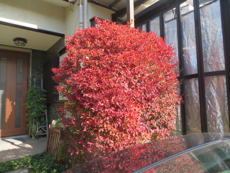 f:id:sasameyuki47:20141118114412j:image:w360 f:id:sasameyuki47:20141118114412j:image:w360